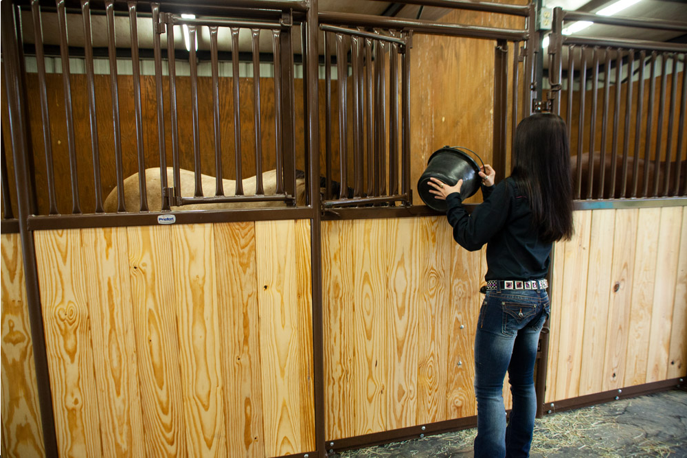Pin Lock Latch for Sliding Horse Stalls - American Stalls